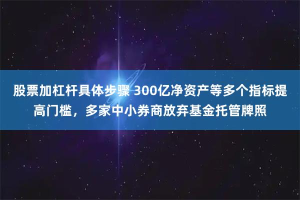 股票加杠杆具体步骤 300亿净资产等多个指标提高门槛，多家中小券商放弃基金托管牌照
