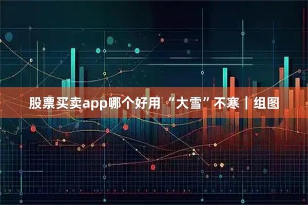 股票买卖app哪个好用 “大雪”不寒｜组图